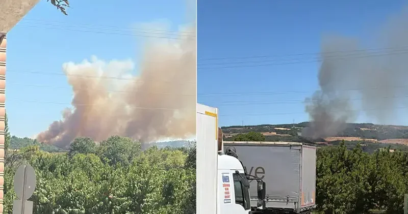 Çanakkale de tarım arazisinde yangın