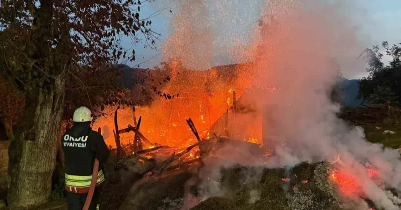 Ordu’da metruk evde yangın