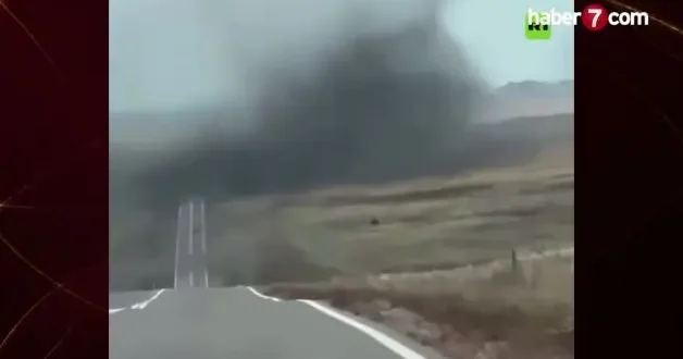 Orman yangını zannettiler, sivrisinek bulutu çıktı! Rusya da şoke eden anlar kamerada