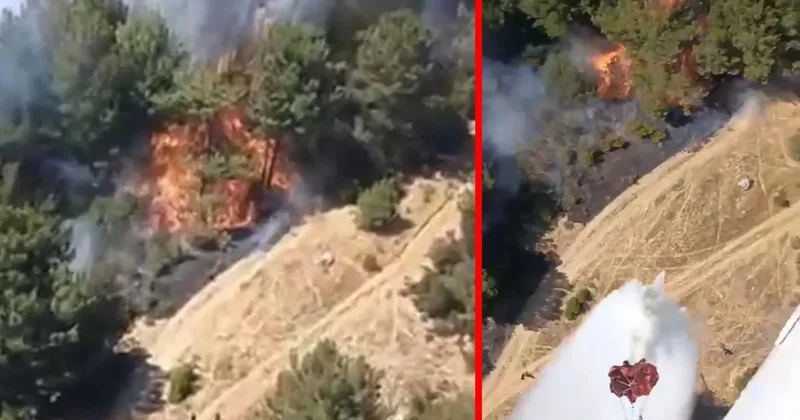 Balıkesir’de korkutan orman yangını! Ekipler alevlere havadan ve karadan müdahale ediyor