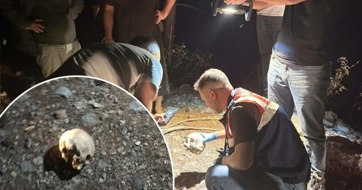 Antalya da ormanlık alanda kafatası bulundu