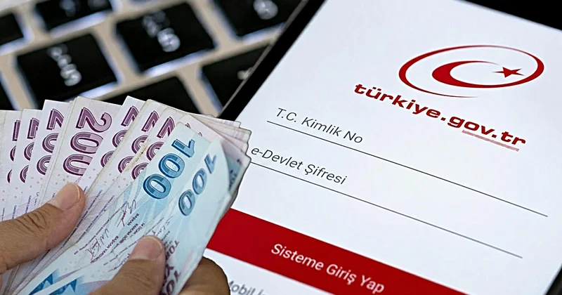 e Devlet te bu 3 harfe dikkat! Emekli maaşınız iptal edilebilir