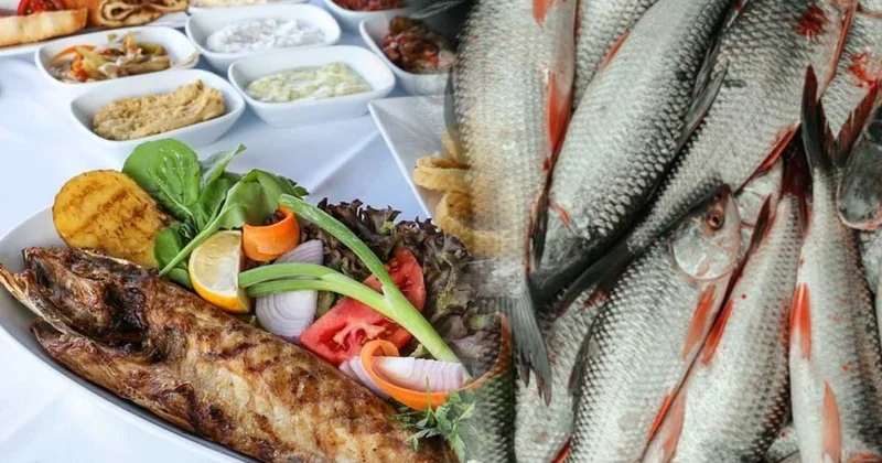 Balıkları taze diye restorana 28 bin lira ceza kestiler Sözcü Gazetesi