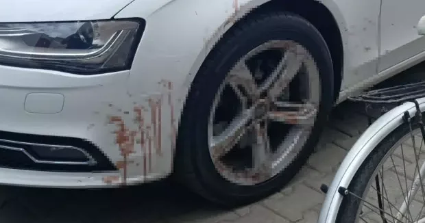 Antalya haberleri Araç tekerindeki kan polisi harekete geçirdi! Gerçek kısa sürede ortaya çıktı 21 Ekim 2025