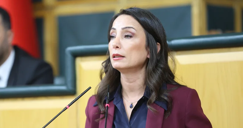 DEM Parti li Hatimoğulları: Komisyon somut adımlara yoğunlaşmalı