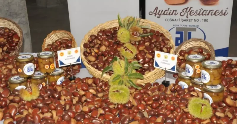 Sezonun ilk kestanesi! 550 TL den alıcı buldu