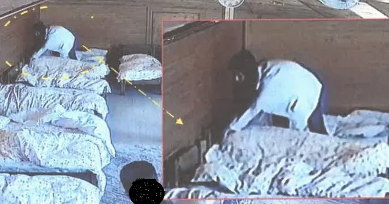 SON DAKİKA… Oyuncak ayının içine yerleştirilen ses kayıt cihazı vahşeti ortaya çıkardı: Kreşte 15 çocuğa sistematik şiddet!
