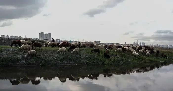 İstanbul da korkutan manzara: Dere siyaha büründü!