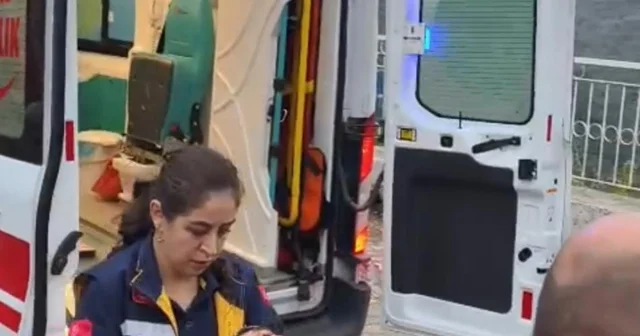 Aydın da kamyonet uçuruma yuvarlandı: 3 yaralı Aydın Haberleri