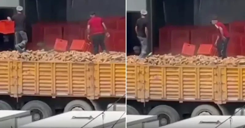 Belediyeye ait fırında infial yaratan görüntü