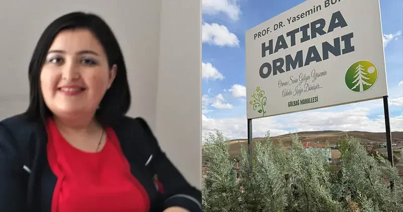 Trafik kazasında ölen profesör için hatıra ormanı