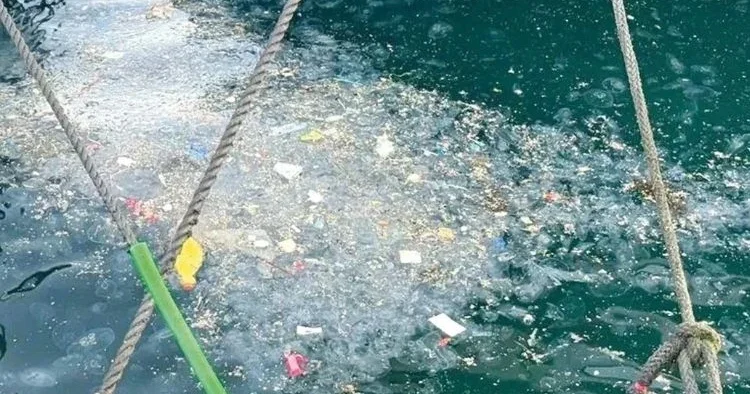 Oksijen seviyesi azaldı… Akdeniz’de tehlike çanları