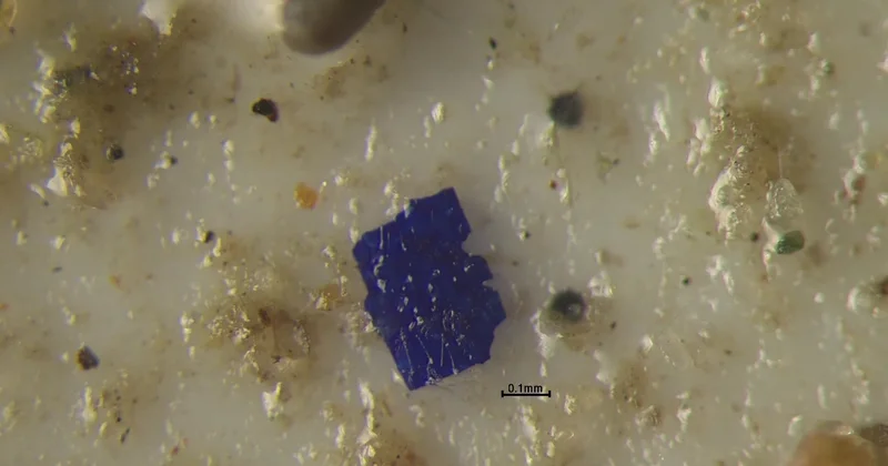 Her 10 sigara çeşidinin 9 unda mikroplastik çıktı
