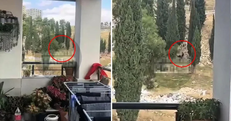 Bir ilimiz bu olayı konuşuyor! Güpegüngüz cinsel ilişkiye girdiler