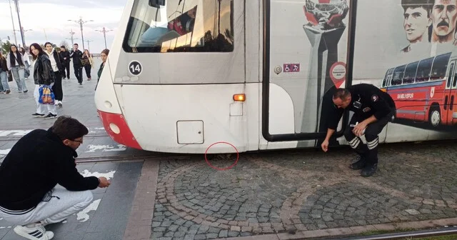 Samsun da yürekleri ağza getiren anlar Tramvayın altında kalan yavru kedi sağ çıktı Samsun Haber Habertürk Yerel Haberler