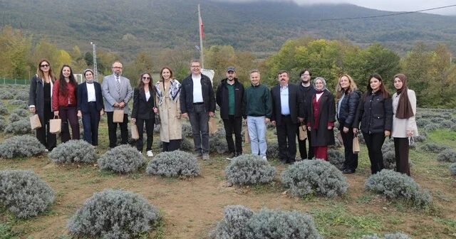 Kavak ın gastronomi ve kırsal turizm potansiyeli değerlendirildi Samsun Son Dakika Haberleri Habertürk Yerel Haberler
