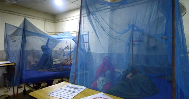 Bangladeş te yıl başından bu yana dang humması nedeniyle ölenlerin sayısı 364 e çıktı