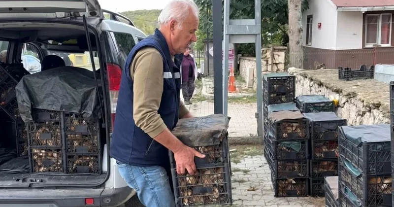 İstanbul un dibinde bedava toplayıp servet kazanıyor: İtalyan ve Fransızlar kapış kapış alıyor Sözcü Gazetesi