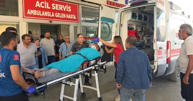 Kestiği ağacın altında kalan emekli uzman çavuş ağır yaralandı Adana Haber Habertürk Yerel Haberler