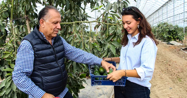 Emekli doktor, 4 kuşaktır süren tarım geleneğini kızıyla tropikal meyve serasına dönüştürdü Adana Haberleri