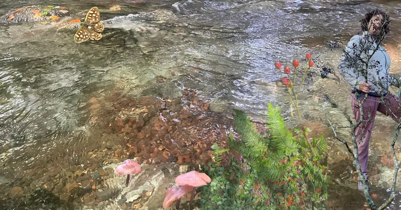 Yeni bir hayatta bütünlüğü aramak: Sınırlar ve ince çizgiler Agos