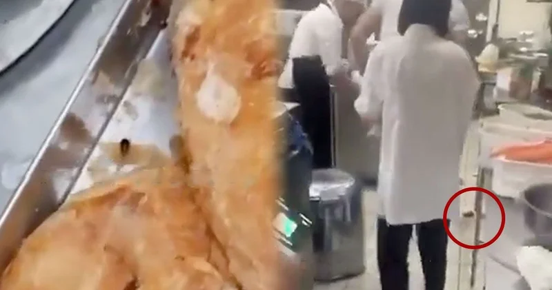 Mide bulandıran görüntüler! Herkesin gittiği muhallebicide fareler cirit atıyor