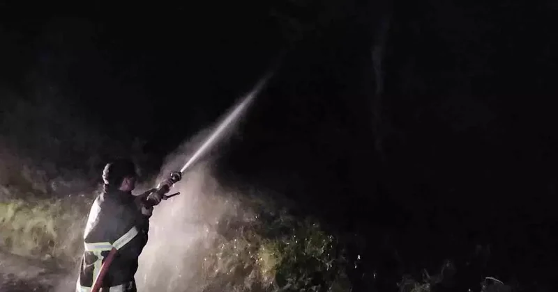 Kastamonu’da çıkan orman yangını söndürüldü