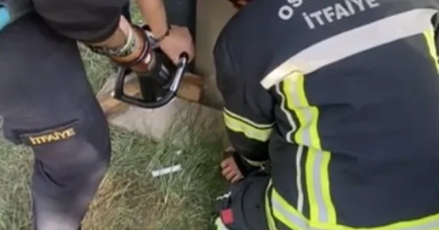 Konteyner ile duvar arasına sıkışan yavru kedi kurtarıldı Osmaniye Haberleri