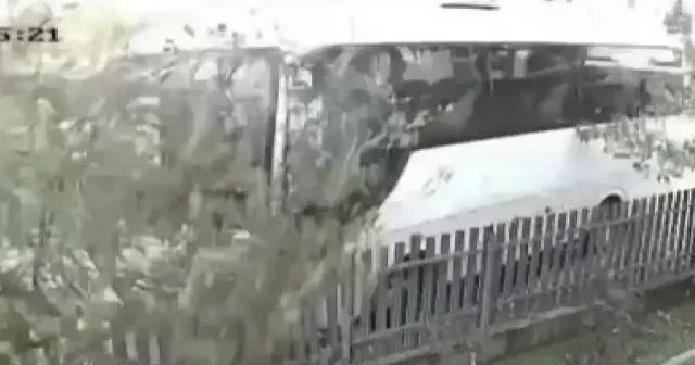 Tekirdağ da servis minibüsü ağaca çarptı: O anlar kamerada VİDEO İZLE