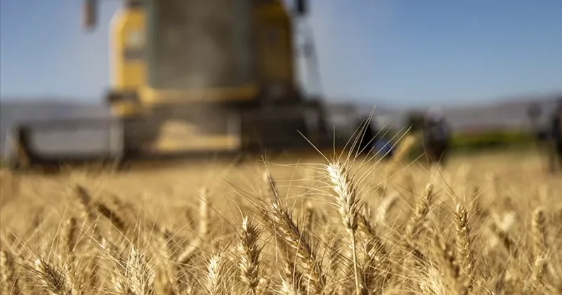 Çiftçilere 331 milyon 664 bin lira tarımsal destek ödemesi bugün yapılacak