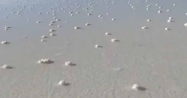 Tuz Gölü ndeki kuraklığın ardından oluşan tuz kütleleri ziyaretçilerin ilgi odağı oldu VİDEO İZLE