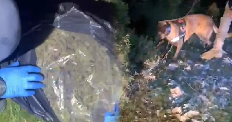 Yer: Muğla! Piyasa değeri 4 milyon TL olan uyuşturucu ele geçirildi