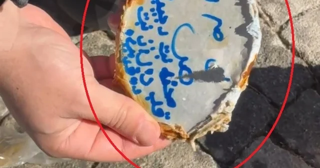 Baraj gölündeki eğitim dalışında büyü malzemeleri bulundu Diyarbakır Haberleri