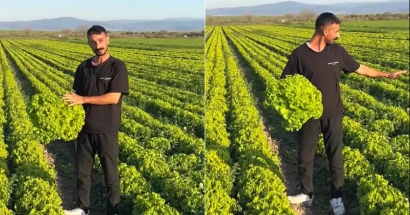 Satarsam şerefsizim dedi, isyanı pahalıya patladı Sözcü Gazetesi