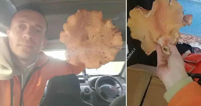 Görenler şaşkına döndü! Kütahya da bulundu tam 28 santimetre Kütahya Haberleri