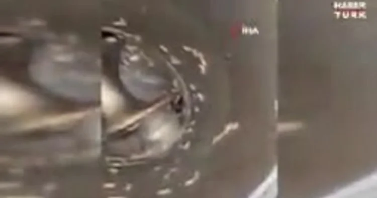 Şarküteride mide bulandıran görüntüler