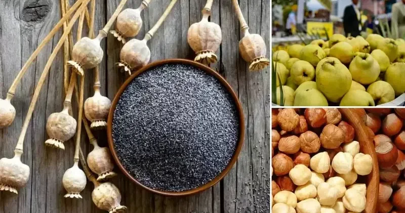 Dünya pazarında Türk tarımı zirvede: 7 üründe lider 22 üründe ilk üçte Ekonomi Haberleri