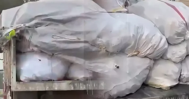 Şüphe üzerine durdurulan iki araçta çuvallarla ele geçirildi: Piyasa değeri 1 milyon 900 bin lira!