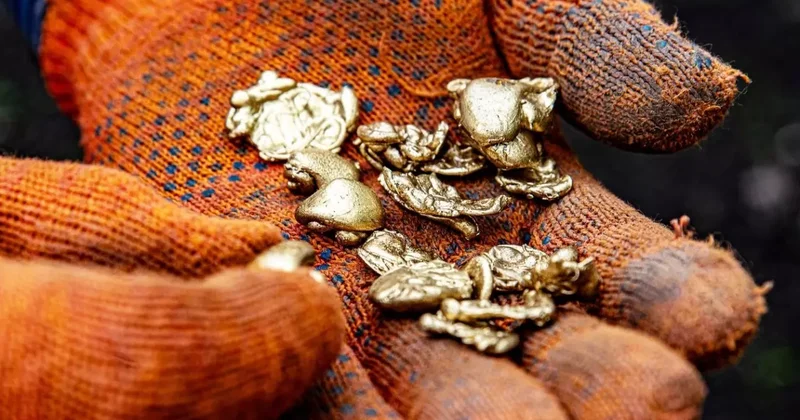 ABD de yeni keşif: Yüksek kalite altın rezervi bulundu!