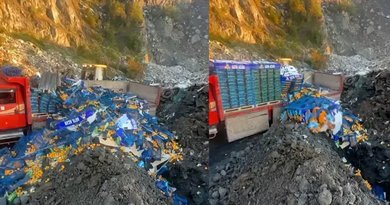 Sarp Sınır Kapısı nda 6 ton mandalina imha edildi