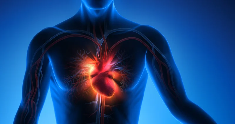 Kalbi duran hastayı doktorların mücadelesi hayata döndürdü Haberler Sağlık Haberleri