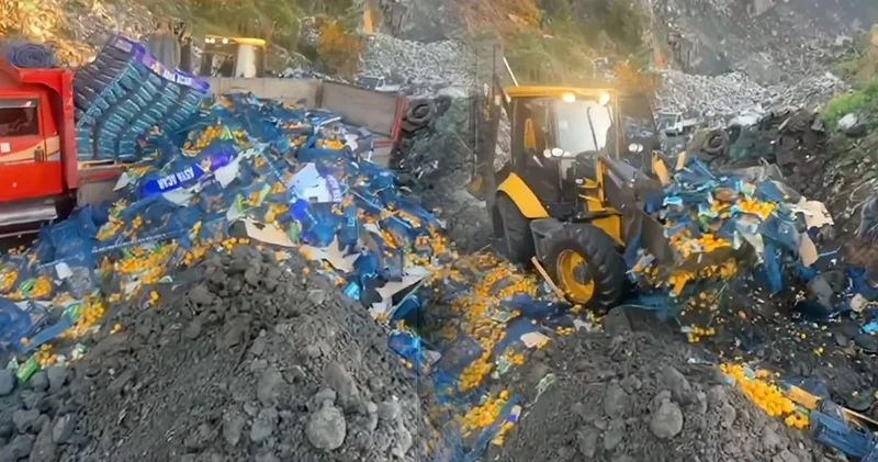 Skandalı skandalla örttüler: Bakanlık 6 ton mandalinayı plastik kasalarla toprağa gömdü