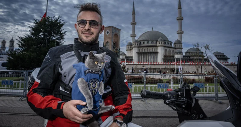 Motosikletli kedi Gofret İstanbul sokaklarında ilgi odağı oldu
