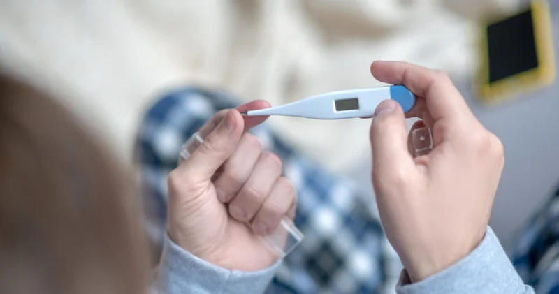 Beden ısısı neden 37 derece? Vücudumuz mantarları yok etmek ve enerjiyi korumak için nasıl optimize oldu?