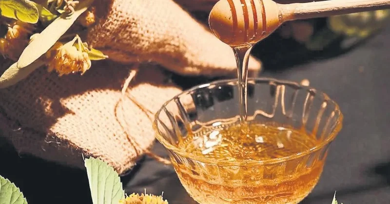 AB Türk lezzetlerine hayran