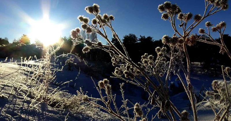 Termometreler 14’ü gördü: Dereler buz tuttu