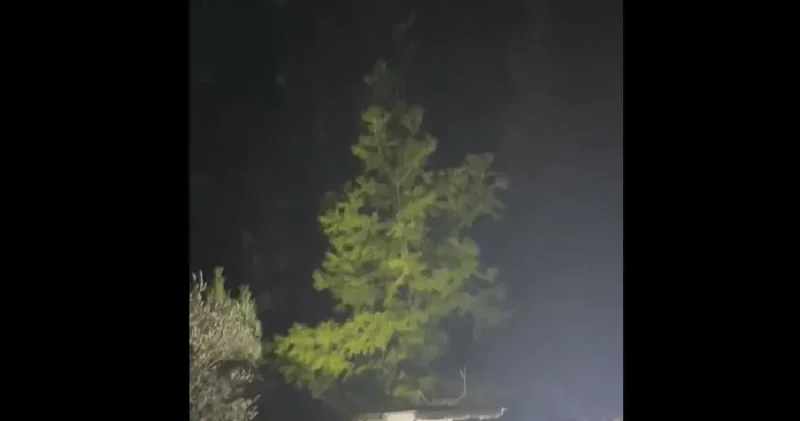 Kayıp olarak aranan 2 kişi mezarlıkta boğazları kesilmiş halde ölü bulundu!