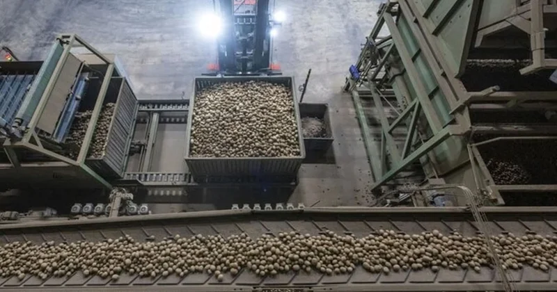 Son 25 yılın hasat rekoru krize sebep oldu Sözcü Gazetesi