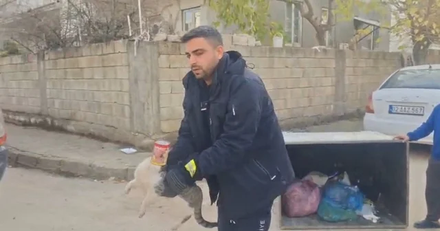 Konserve kutusuna sıkışan kedi kurtarıldı Adıyaman Haberleri