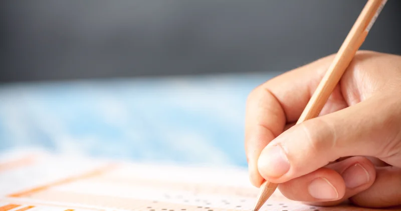 AÖL sınav sonuçları ne zaman açıklanacak? MEB AÖL sınav sonuçları nasıl ve nereden sorgulanır?